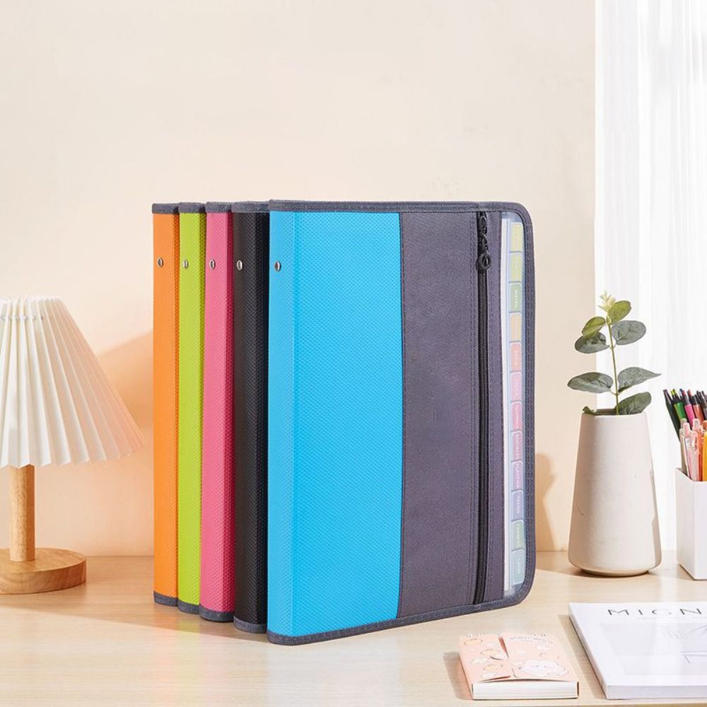 Organizador de Archivos Expand - Expandable Accordion File Folder 13 Pockets reseña y precio