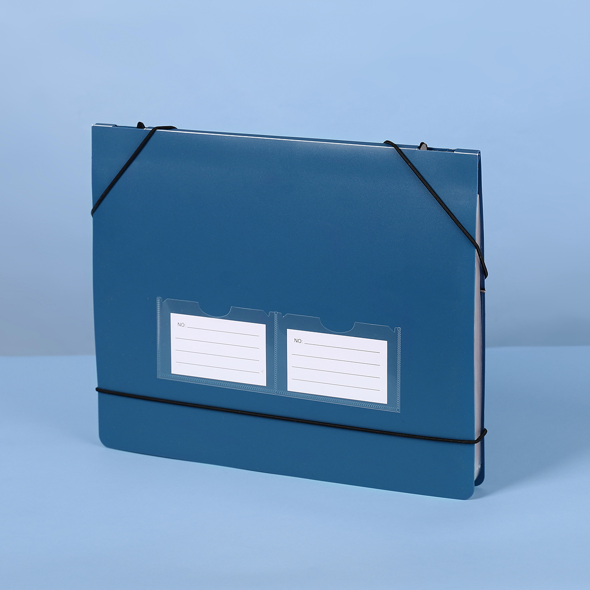 Carpeta de archivos tipo acord - Expandable Accordion File Folder 13 Pockets reseña y precio