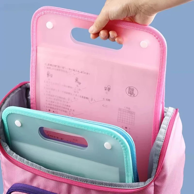 Organizador de Archivos Acorde - Expandable Accordion File Folder 13 Pockets reseña y precio